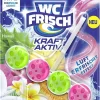 WC-Frisch KraftAktiv Duftspüler Urlaubsträume Hawaii 50g WC-Reiniger Badreiniger