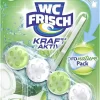 WC Frisch Kraft-Aktiv Pro Nature Minze WC-Reiniger 1 Stück Badreiniger